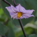 송암농원 이미지