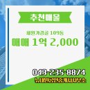 대원공인중개사사무소 | 뉴대원공인중개사사무소 세원가경골 109동 매매 1억 2,000