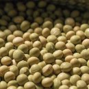 모태영농조합법인 이미지