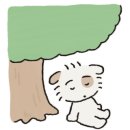 둥둥펫살롱 네이버블로그