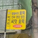 [대구] 서문시장 납작만두 미성당 내돈내산 후기 (feat. 호떡)