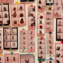 몽몽(MongMong) | 제주 대형 실내외 애견 카페 추천 제주 카페몽몽 방문 후기