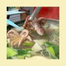 쭈꾸미 먹는날 | 서산 쭈꾸미 샤브샤브 :: 맛있게 먹는날 본점 방문 후기