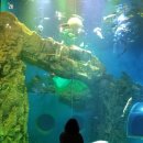 옥곡5일시장(정문) | 단양 일주일 살기 5일차 : 단양 다누리 아쿠아리움, 단양 구경시장