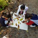 다목초병설유치원 이미지