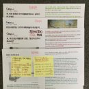 한반도태권도 | 통일부 기자단 10월 미션