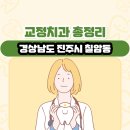 경상남도 진주시 칠암동 교정치과 총정리