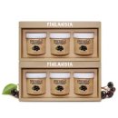 핀란디아 이미지