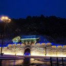 영월 인 더 나이트 이미지