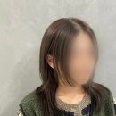 숩틸 이미지