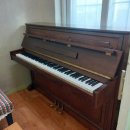 비파음악학원 이미지