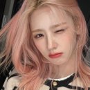 ROSE(로즈)헤어