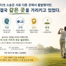 바이블골프