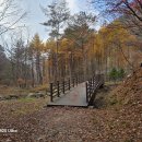 마리소리골악기박물관 | 마리소리골에서 찾은 삶의 깊이, 우정의 선율