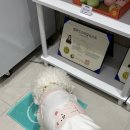 뽀미까까 이미지