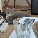 주식회사 팔팔