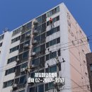 장미페인트