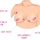 이시경유의원 이미지