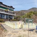 베타니아어린이집 | 여수 숨은 돈까스 맛집 포장, 배달 가능한 오늘애(愛)