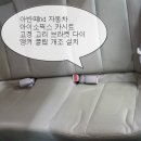 영일카프라자 이미지