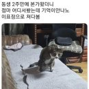 점마 이미지