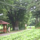 황방1리 이미지