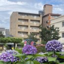 [교토] 가모강 근처 숙소 SH by the square hotel Kyoto Kiyamachi(호텔 선루트 키야마치)