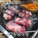 정진 | 목동역 맛집 고기 무한리필 정진식당 후기