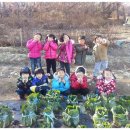 오진농장 이미지