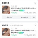 애견미용 자격증 내돈내산 추천템 -리케이 Tc 1000,바비온, 아키즈 악어가위(위그털)