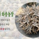 경북건재식품