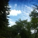 삼나무집펜션 이미지