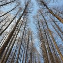 이석해물칼국수.왕만두 이미지