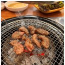 고기나라 이미지