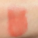 써니유통 | 봄웜 추천 틴트 비교 /롬앤 더 쥬시 래스팅 틴트 10 베어애프리콧 vs 컬러그램 써니토마토(내돈내산)