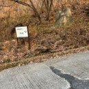 둔내유스호스텔 수영장 | 횡성 웰리힐리 파크 가든 하우스 후기