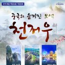 보석여행사 이미지