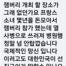 잼버리 개최 할 장소가 그리 없던가요??? 이미지