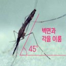 경보목욕탕 Daum카페
