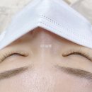 샵히니