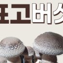 해오름농장 이미지