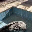 더 플라잉 이미지