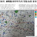[칼럼초고] 도시는 텃밭 자리를 약속해야 한다 ㅡAI시대 '도시농사'를 위한 토지이용계획 수립이 중요한 이유 이미지