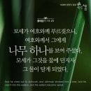 ＜출애굽기 맛집＞26. 마라를 만나고, 치료하시는 하나님을 만나다!(출 15장23절, 출15장26절, 요한복음14장6절,시편23편1절) 이미지