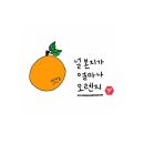 청소데이