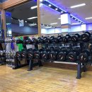 라이프타임 휘트니스 이미지