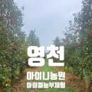 과일놀이터