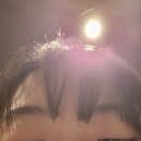 니폰내폰 이미지