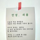 오구달 | 아기돌사진 아기돌촬영 오구스튜디오에서 예쁘게 찍고 온 후기