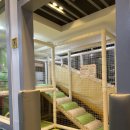 모도리감자탕.뼈찜 이미지